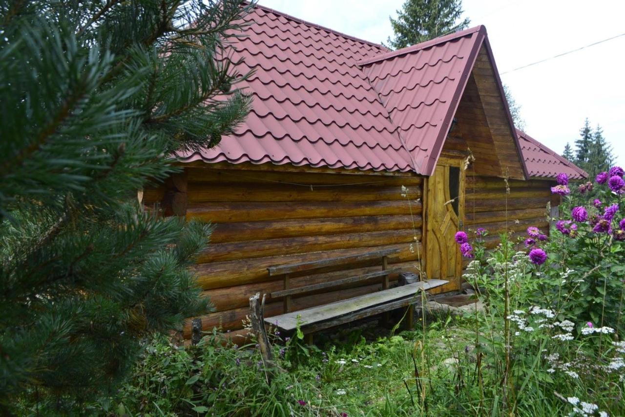 Villa Maria Yablunytsya Eksteriør billede